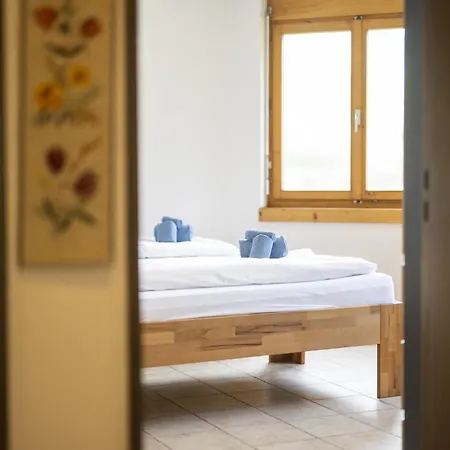 Chasa Serras Adrian Apartment *