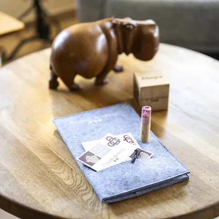 Chasa Serras Adrian Apartment *